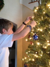 2013-11-30 15-01-53 Pre Christmas Decor.jpg